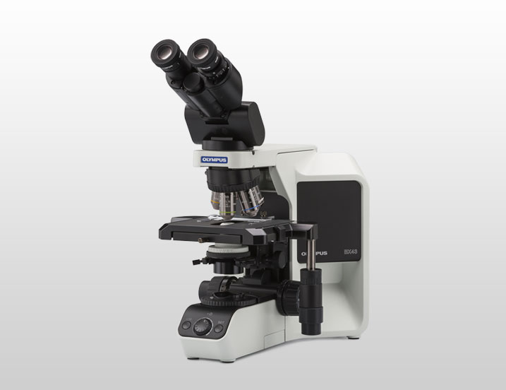 BX43 研究级生物显微镜