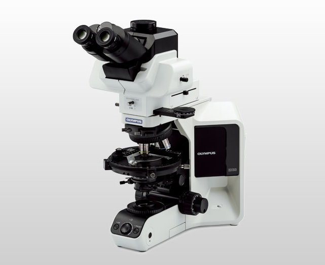 BX53-P 偏光显微镜